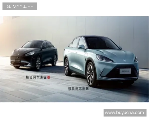 上海飞盘队中路突破的成功与不足分析及未来改进方向探讨