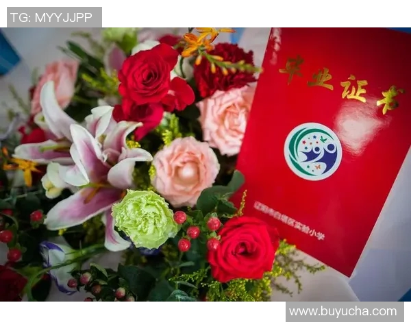 与杨静畅谈篮球生涯的点滴与成长之路