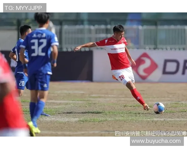 专访赵磊：深度剖析足球成功背后的秘诀与挑战