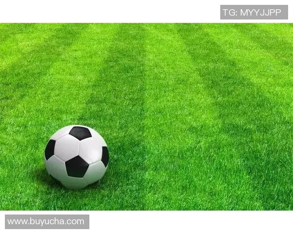 世园足球场周边景观与设施全解析助您畅享绿色运动体验