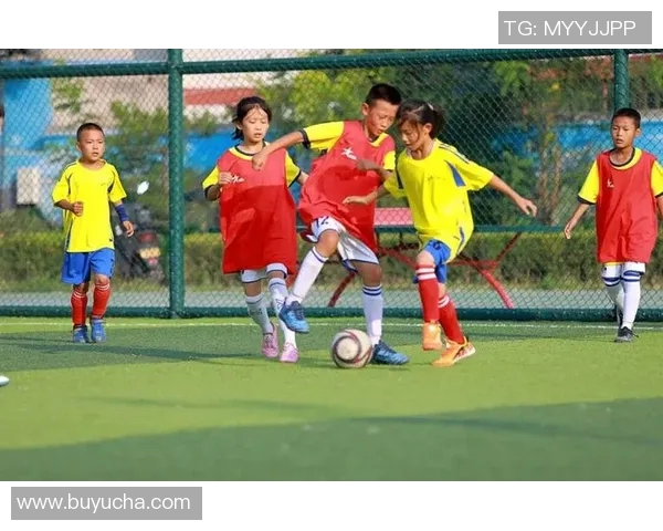 中国青少年足球比赛的崛起与发展探索促进青少年健康成长的体育活动新模式 中国青少年足球比赛的崛起与发展探索促进青少年健康成长的体育活动新模式