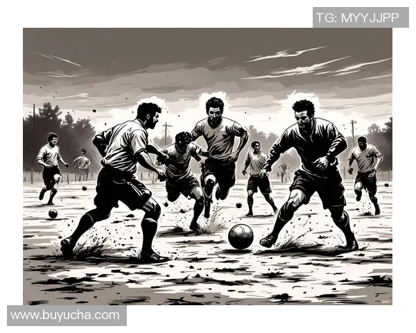 乐趣园足球论坛：探讨足球激情与战术交流的最佳平台