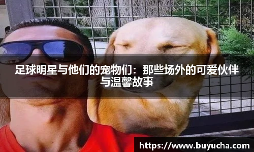 足球明星与他们的宠物们：那些场外的可爱伙伴与温馨故事